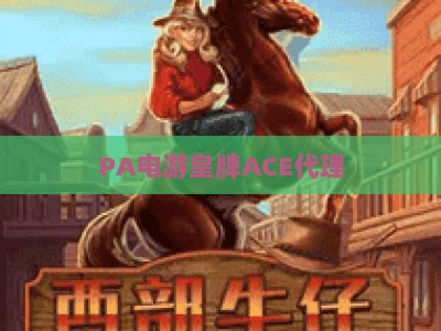 PA电游皇牌ACE代理：2026年正规平台合作指南，新手入行避坑与盈利攻略
