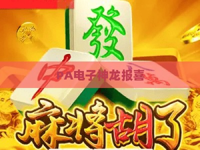 PA电子神龙报喜：2026年新手必看的玩法技巧与中奖诀窍全攻略