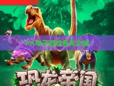 PA电子游戏名光之城：2026年解锁赛博都市隐秘剧情与专属玩法的沉浸式冒险指南