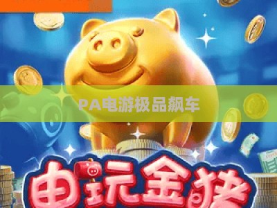 PA电游极品飙车：2026新手进阶全攻略，从入门到精通的实战教学指南