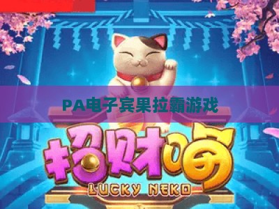 PA电子宾果拉霸游戏：2026全新攻略，解锁高分赢奖核心技巧