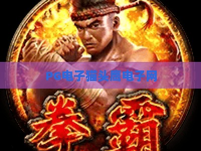 PG电子猫头鹰电子网：2026年玩家必看的猫头鹰电子网实战攻略与深度解析_最佳最稳外围顶级游戏站下注打法专场登录手机版资源