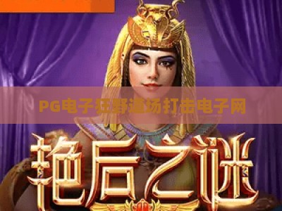 PG电子狂野道场打击电子网：狂野道场+实战技巧+打击电子网策略全解析_十大最新线上免费游艺站官方正版首页地址高分说明